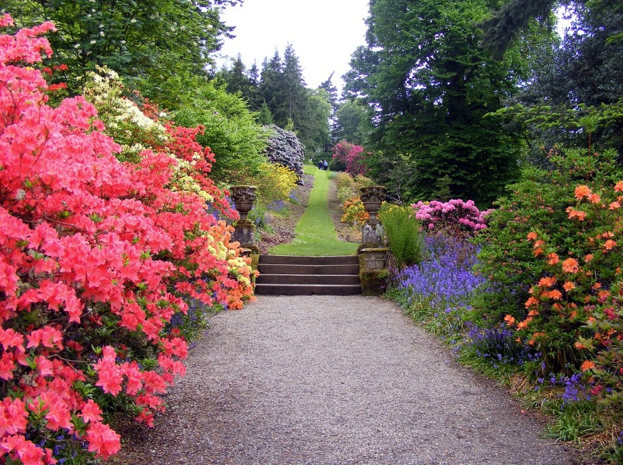 landscape design with flowers in garden pathway
