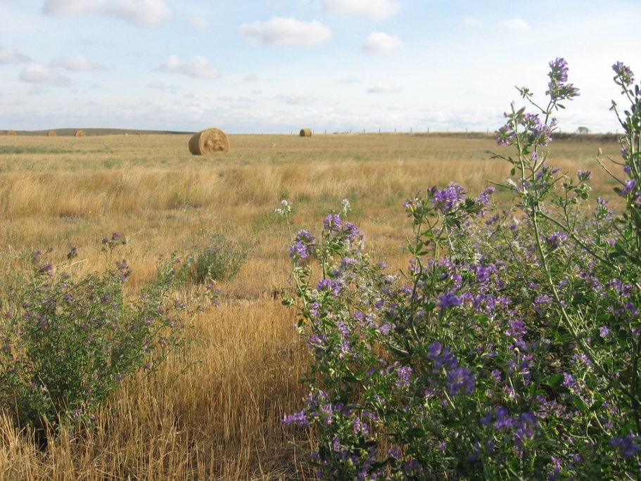 saskatchewan farm